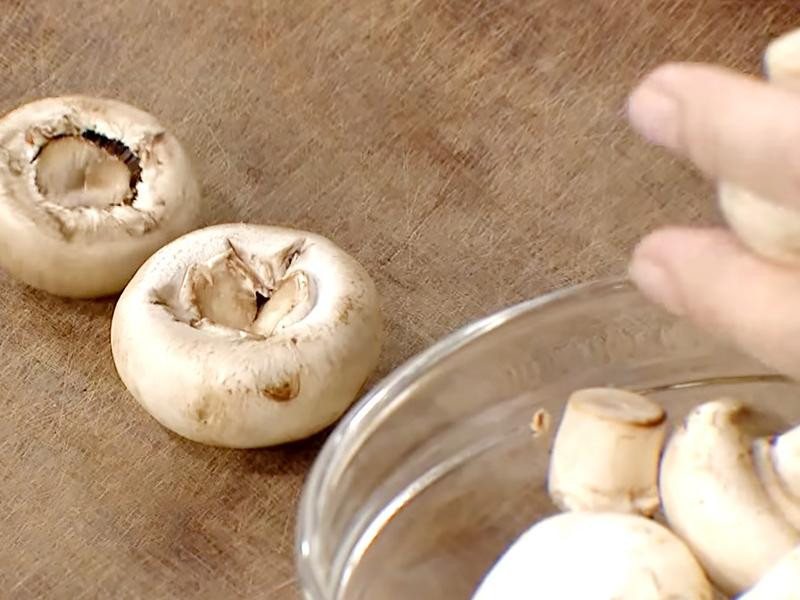 ����ަ���������˵�����