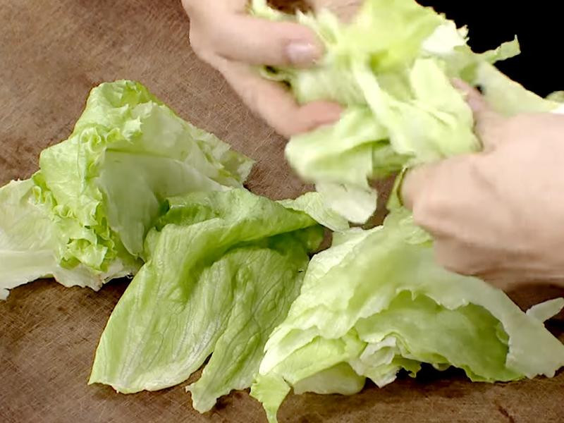 ����ަ���������˵�����