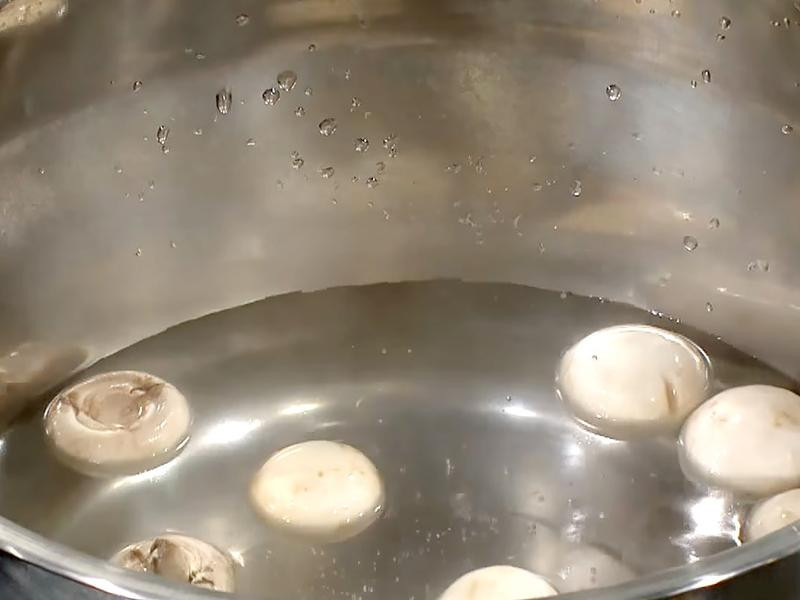 ����ަ���������˵�����