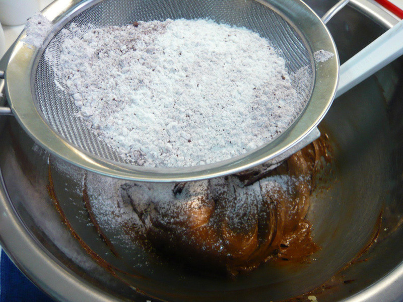 �ɿ���������~Daisy���������