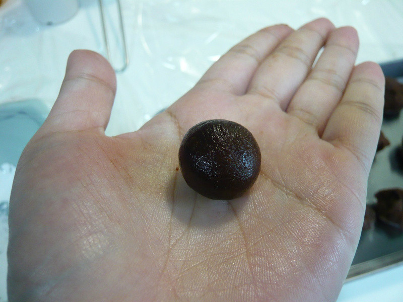 �ɿ���������~Daisy���������