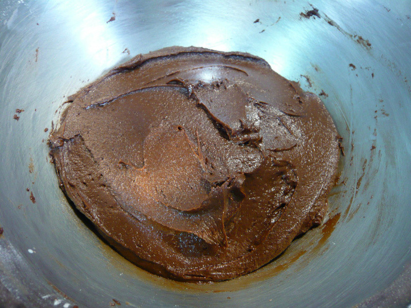 �ɿ���������~Daisy���������