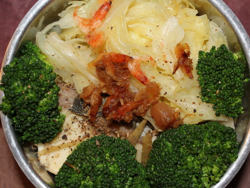 xo���㵱������