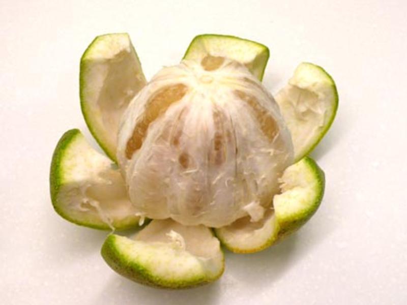 �ĵ�Ϻ��ɳ��������