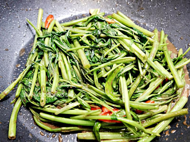 ̩ʽ����Ϻ�����Ĳ˵�����