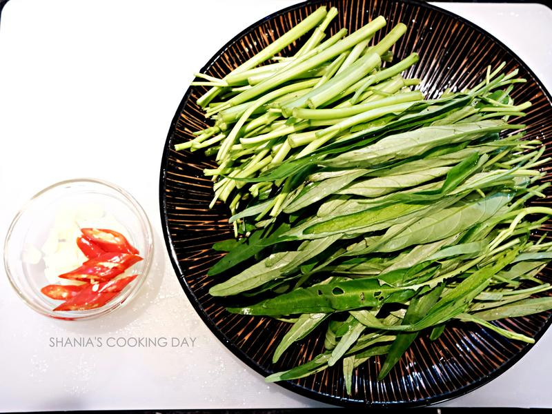 ̩ʽ����Ϻ�����Ĳ˵�����