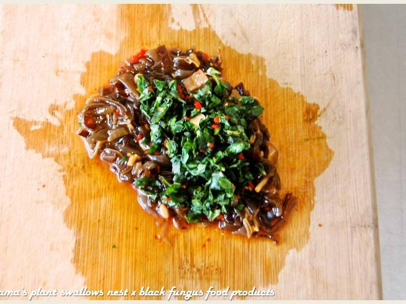 ������ľ������Ϻ����ɳ�ɵ�����