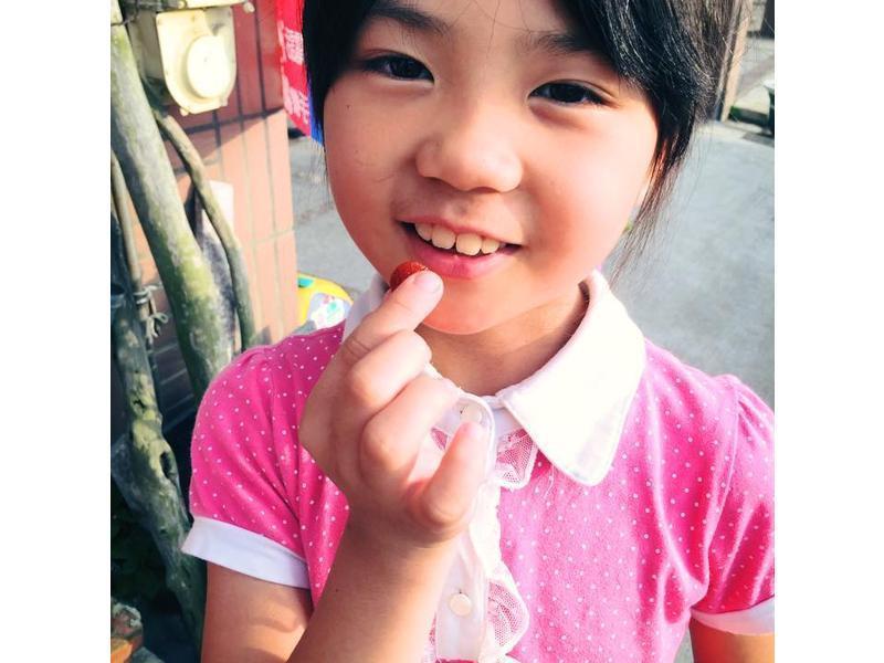 ����ƀ���Ƶ�����