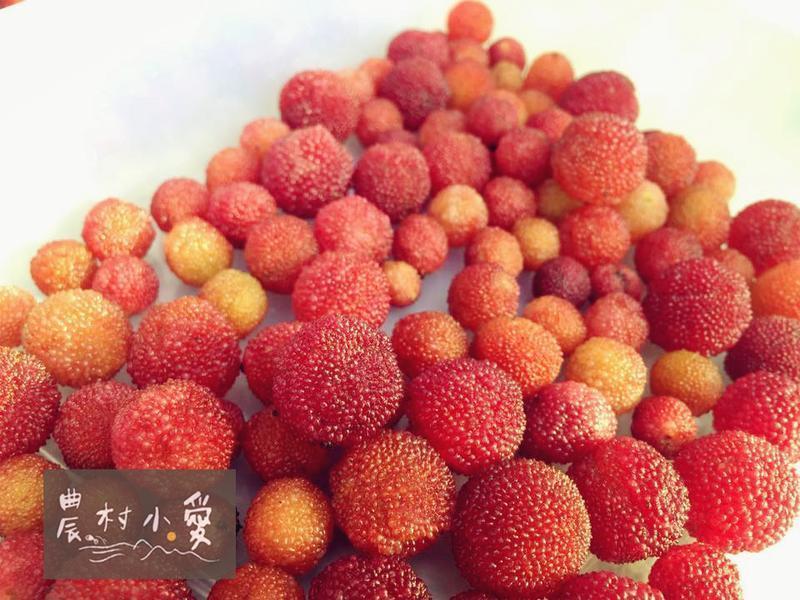 ����ƀ���Ƶ�����