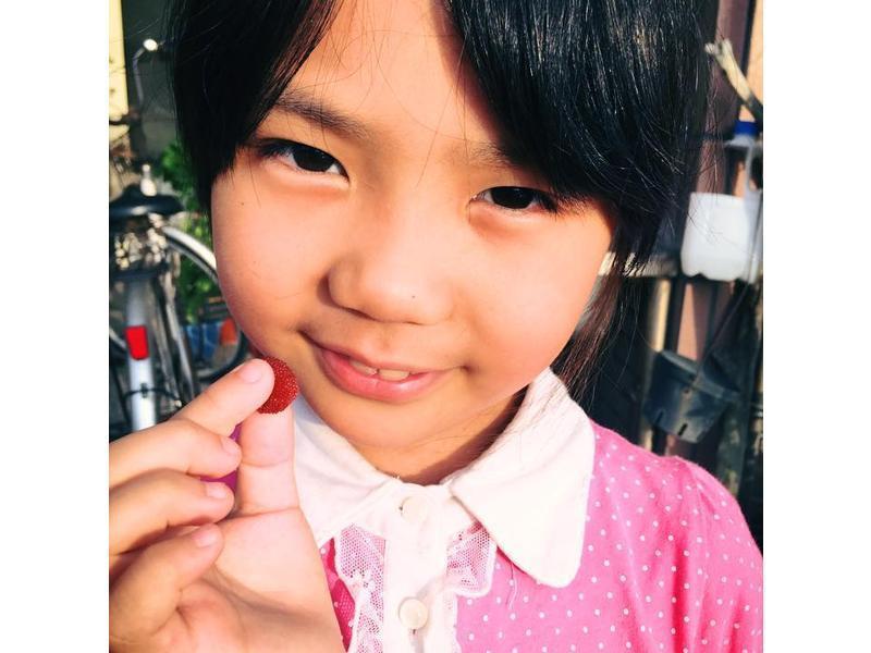 ����ƀ���Ƶ�����