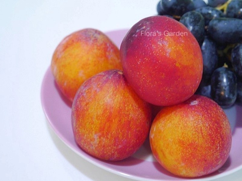 ˧���ʦ~��ʽ��˾�����ǿ�����������