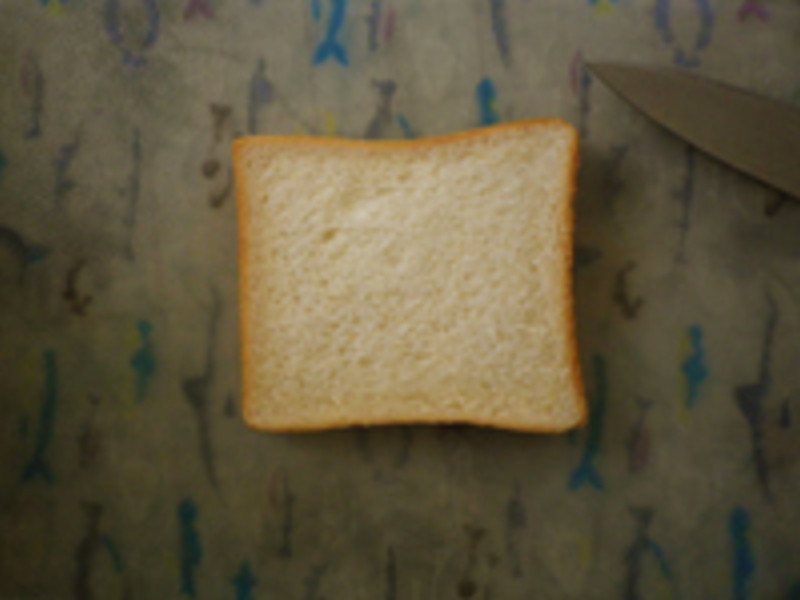 �������˾���������