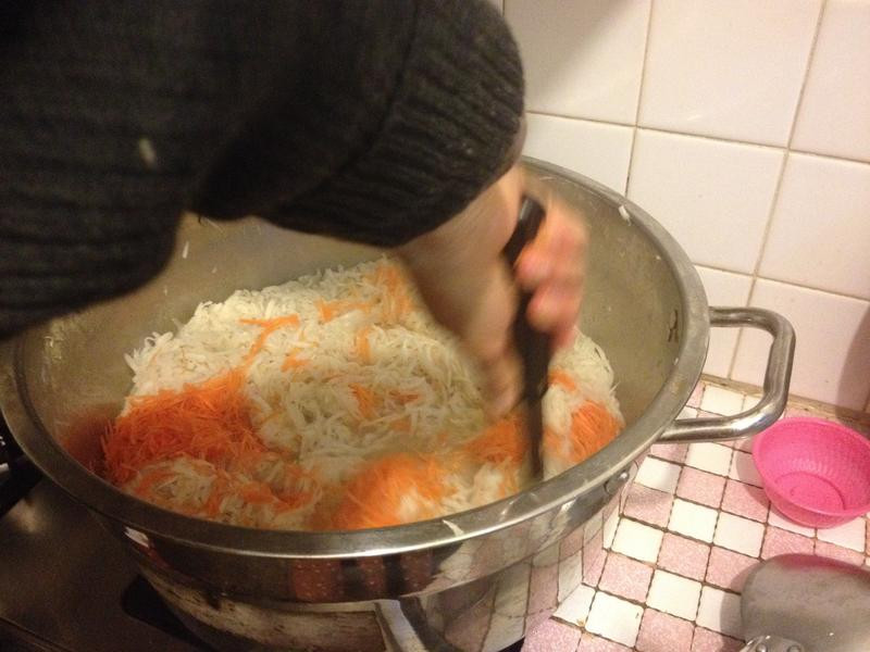 ������ܲ��������