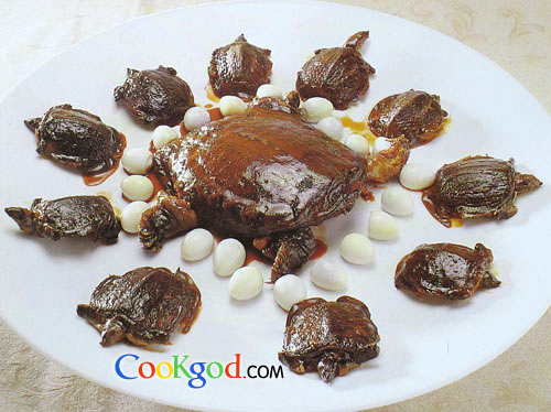 �������������