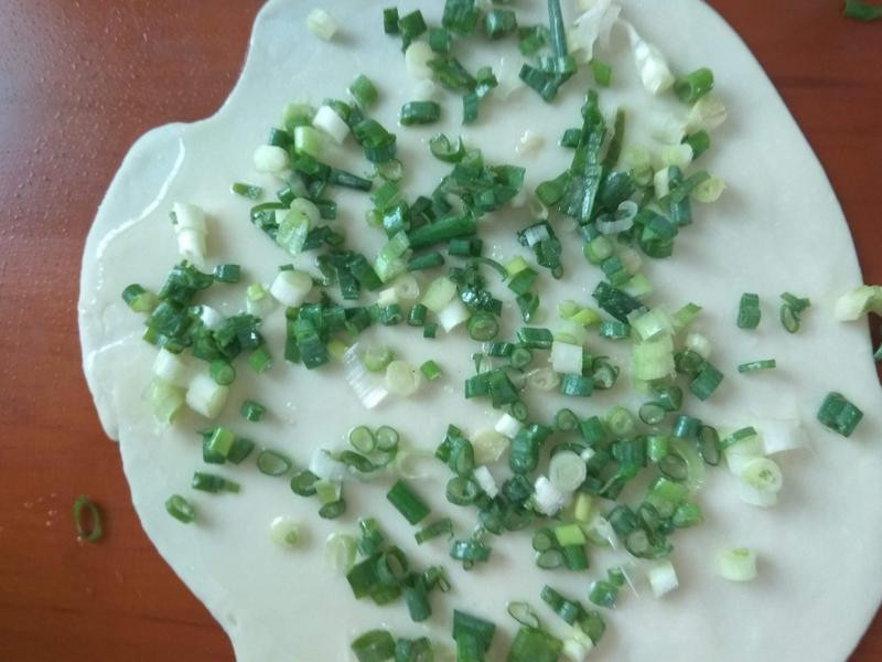 ����Բ��������