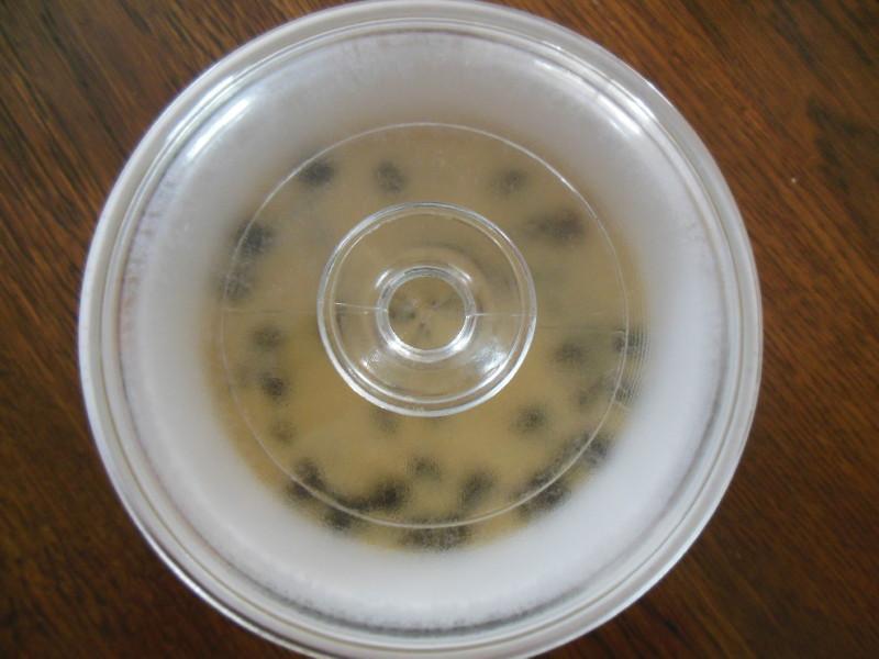 �����Ÿ�Couscous������