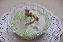 ����������������