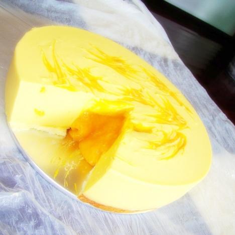 â������֥ʿ���������