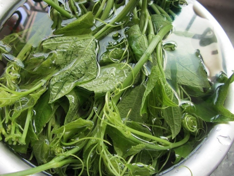 ����˼���Ϻ��ˮ�ȵ�����