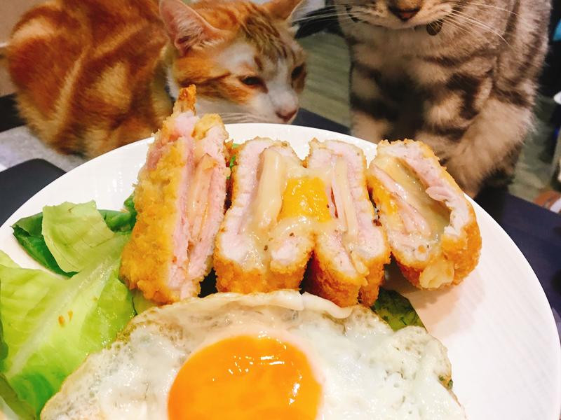 ǣ˿����ը���ŵ�����