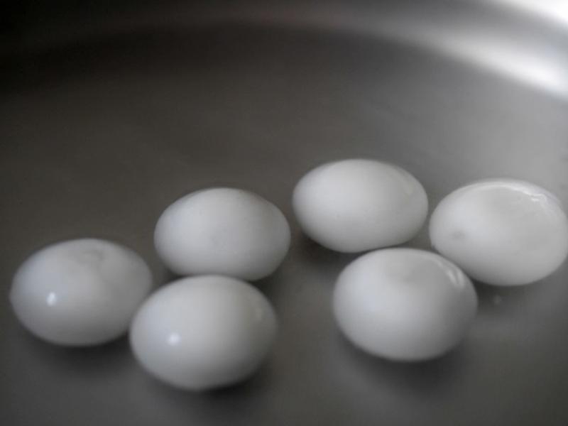 Olivia?��������������Բ������