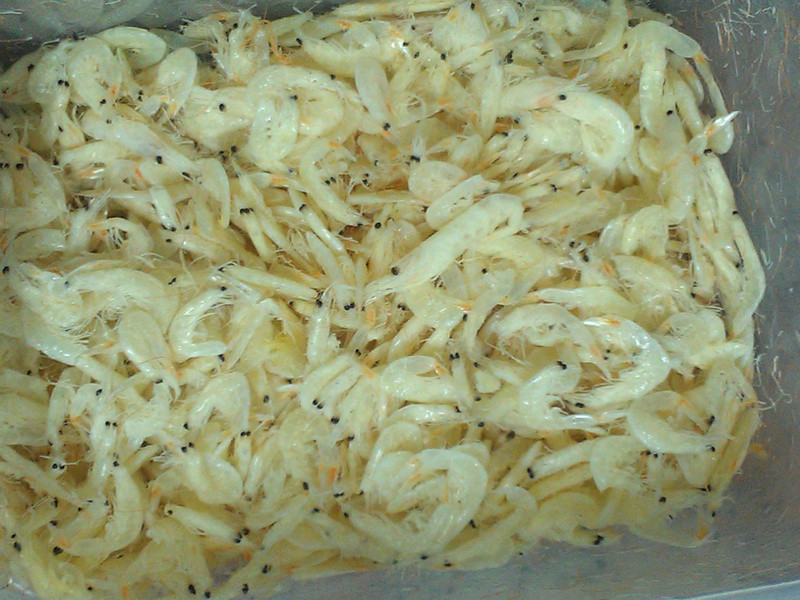 ����������Բ������