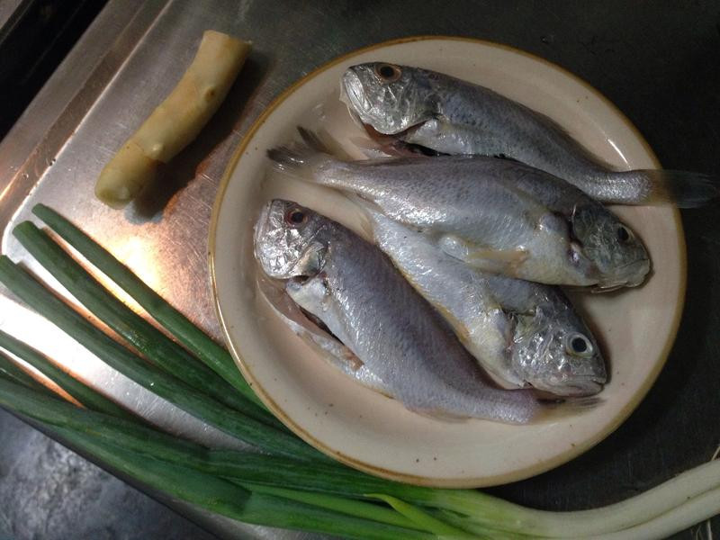 ���㽪˿������������