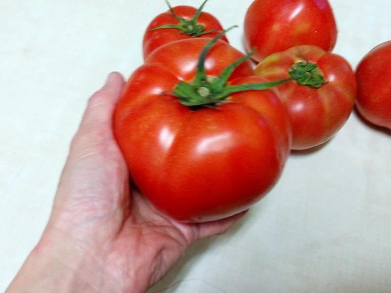 �����������׷۵�����