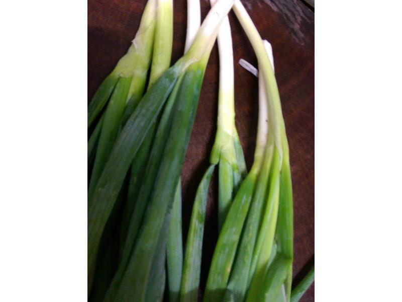 ���ˤν��մ����������