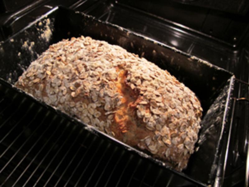 [�ⷢ��] �������������