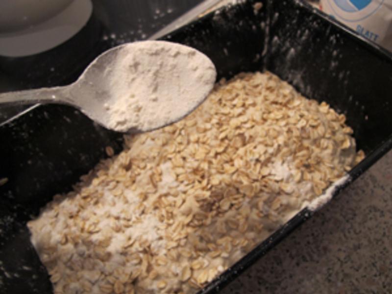 [�ⷢ��] �������������