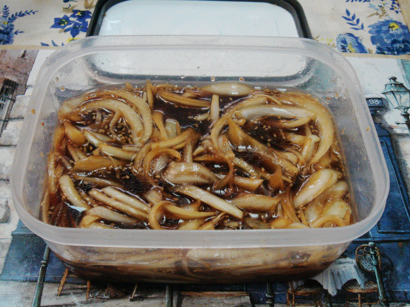 ��ʽ��н�������