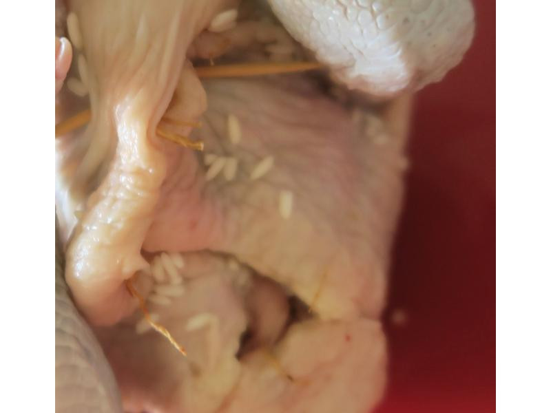 Ũ�������μ���������