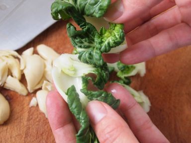 �����ײ˳�÷ͷ�������