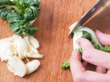 �����ײ˳�÷ͷ�������