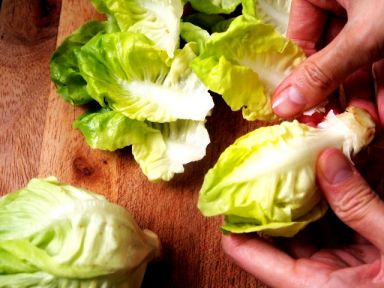 �������ɳ�ɵ�����