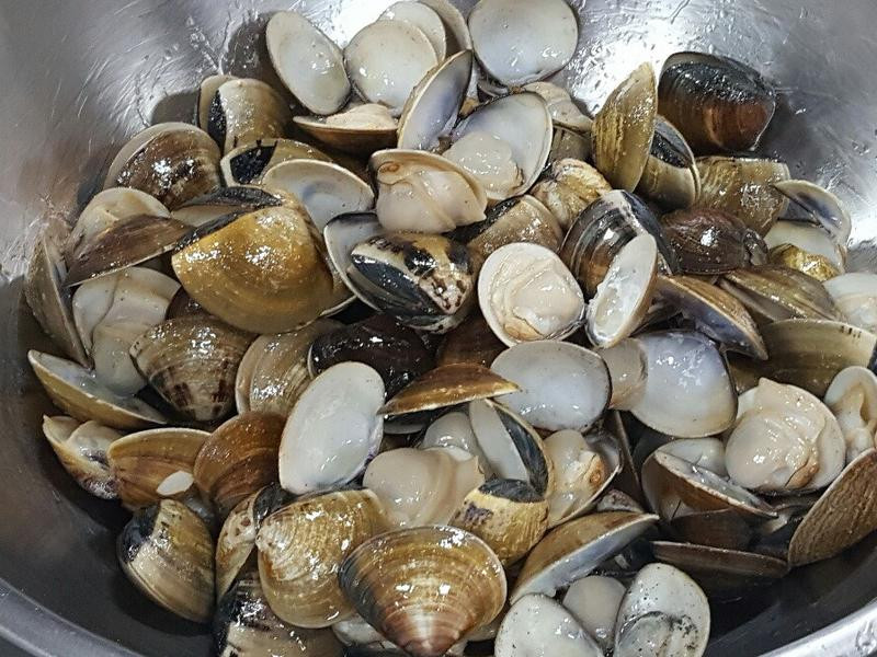 �Ʋ��ӳ����۵�����