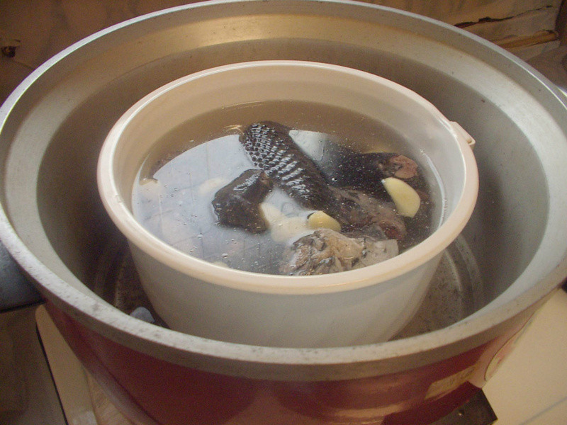 ~��ͷ�����ڹǼ���������