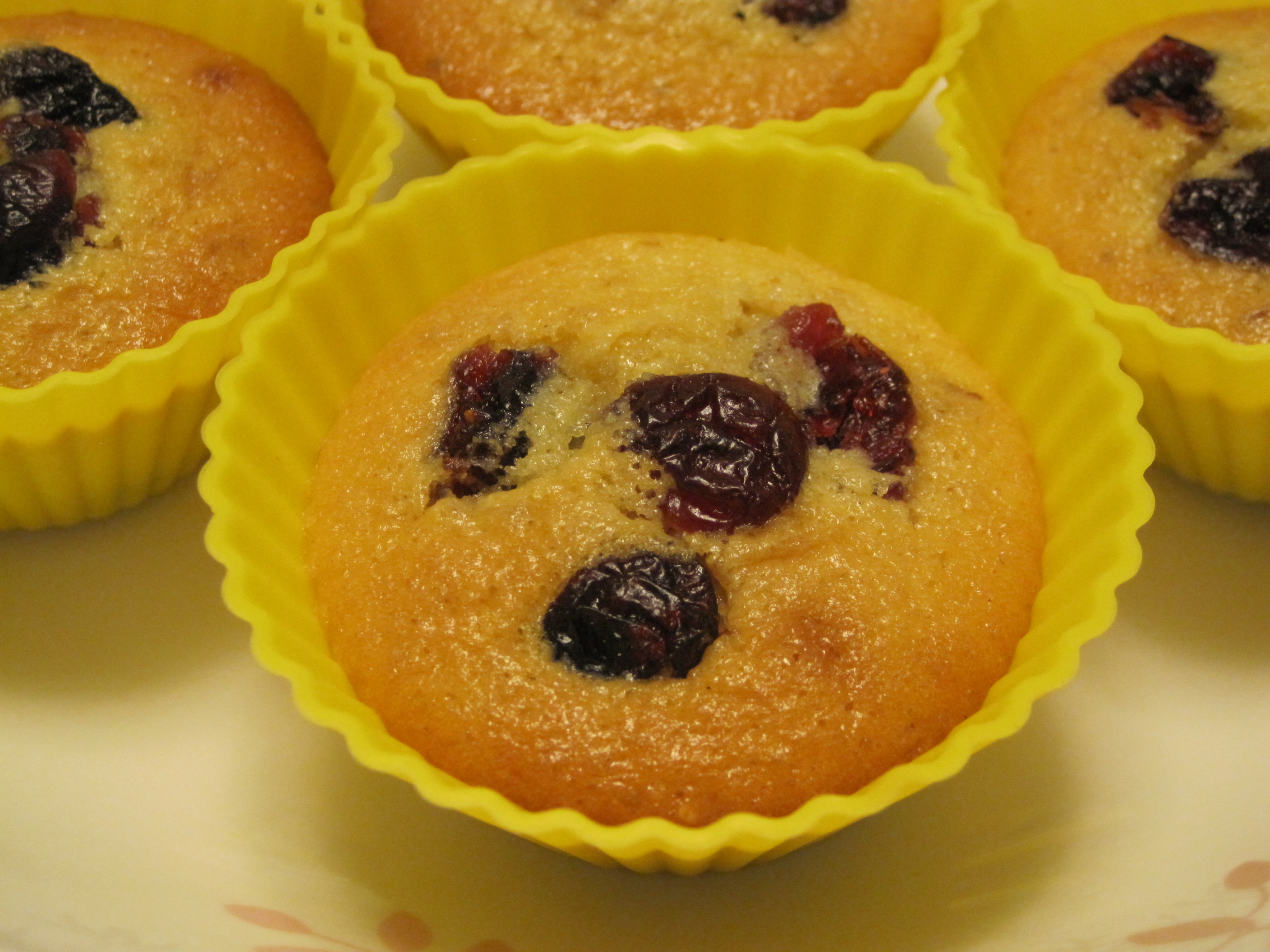 �P����Խݮ���������