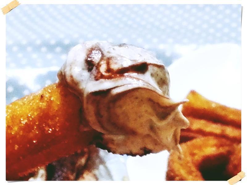 ���������ð����㽶��������մ��������