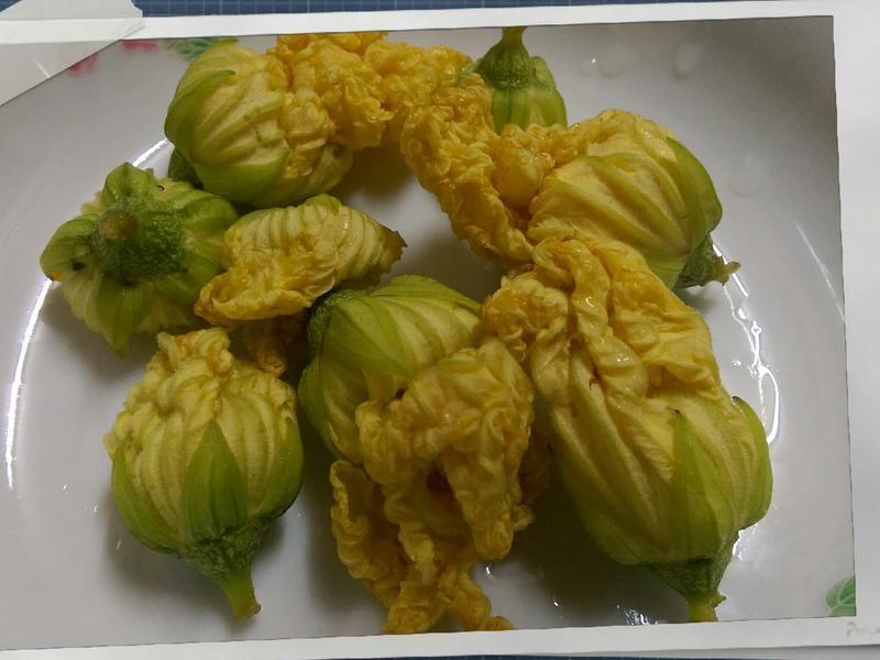 ���ˤν��λƻ����������