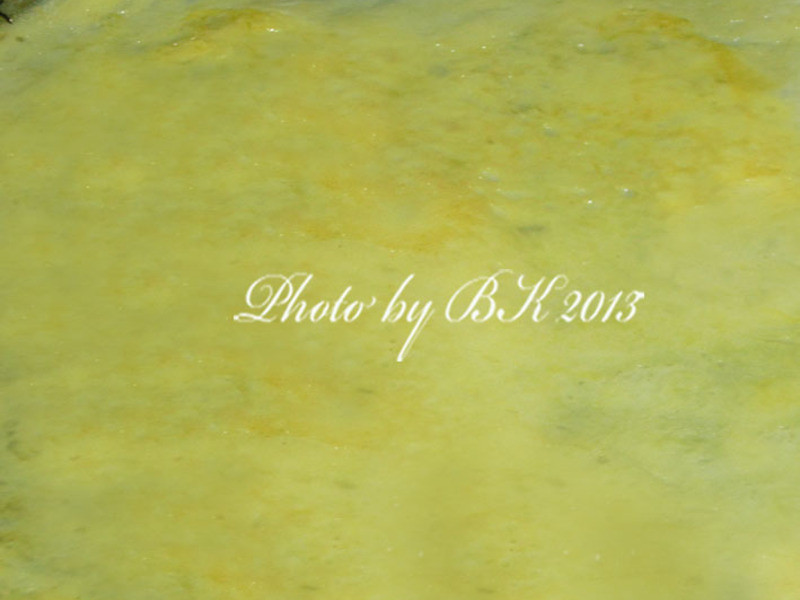 �ƽ���Ϻ������������