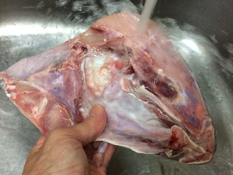 ���ɰ����ͷ������