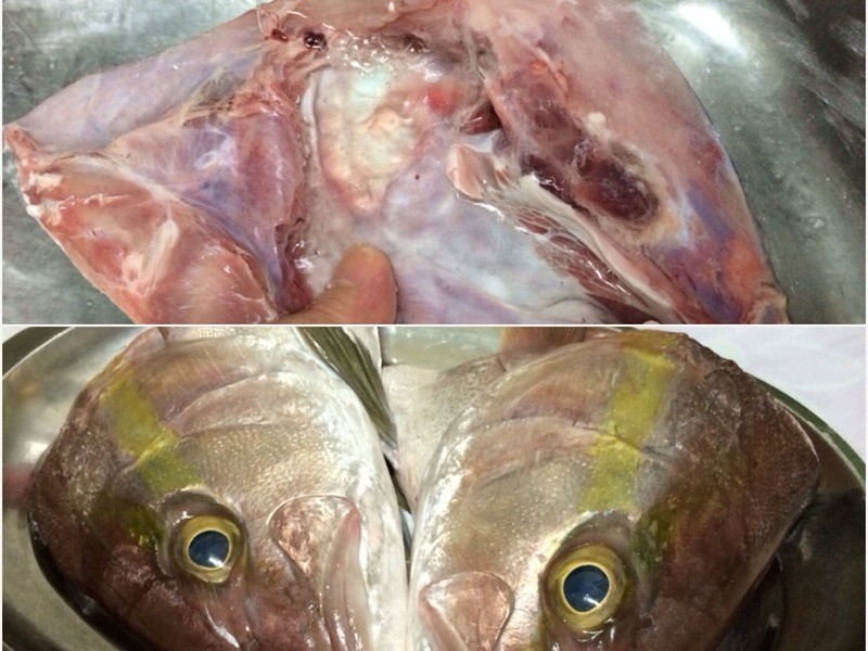 ���ɰ����ͷ������