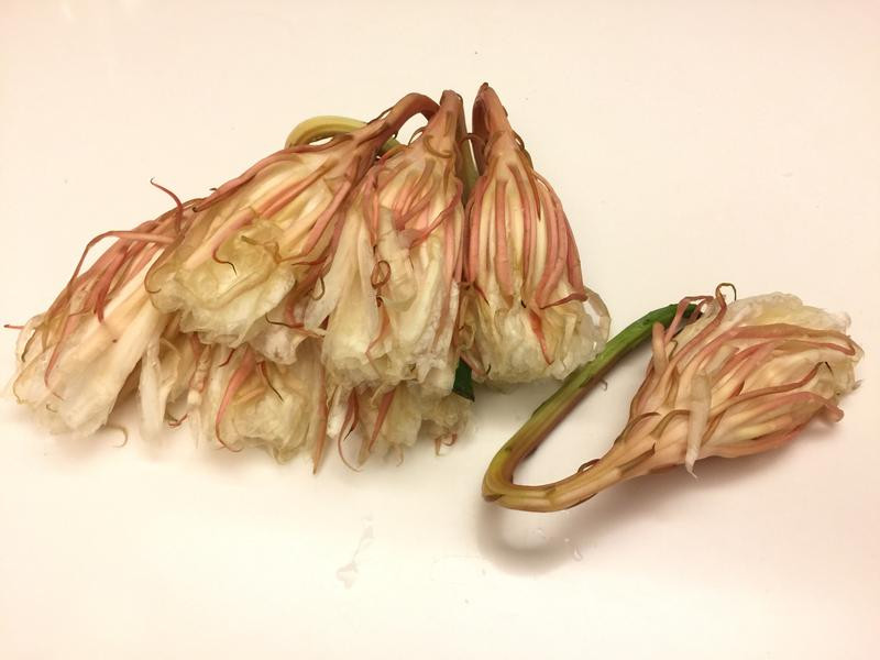 昙花肉骨茶面的做法