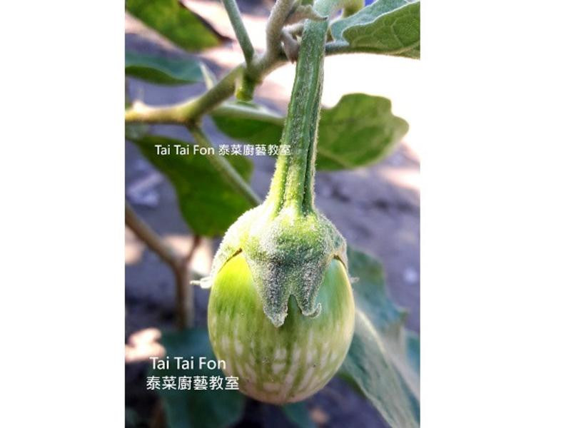 ̩���������������