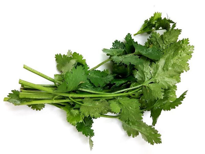 ̩���������������