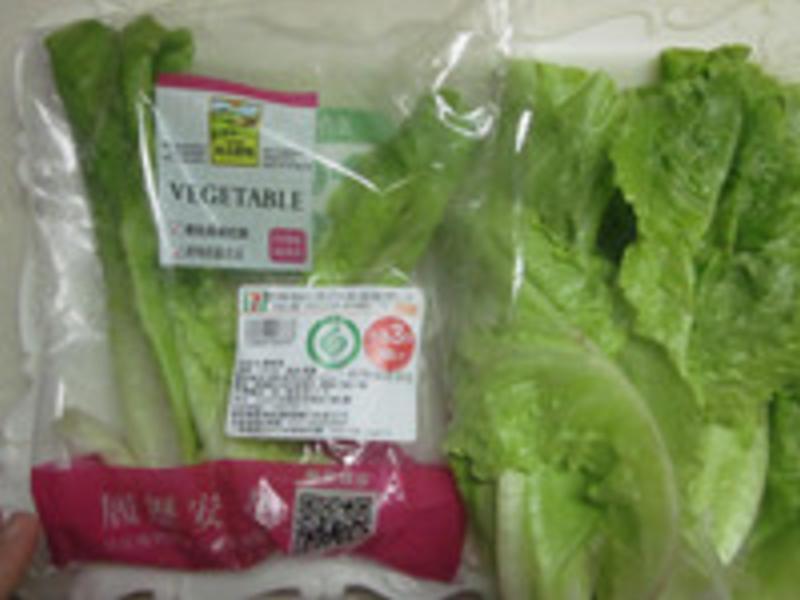 ����ζ�������������