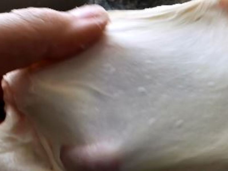 ֥ʿţ����˾~��ӰƬ��ѧ~�ⱦ����ʦʳ�׵�����