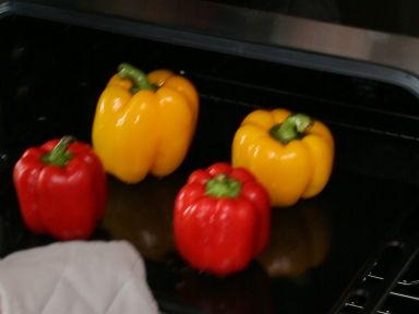 ������������֥ʿɳ�ɵ�����